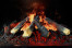 Очаг Design L560RF 3D LOG Очаг Design L560RF 3D LOG